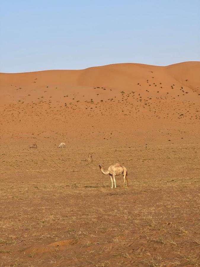 Thousand Stars Desert Camp Bidiya Exterior photo