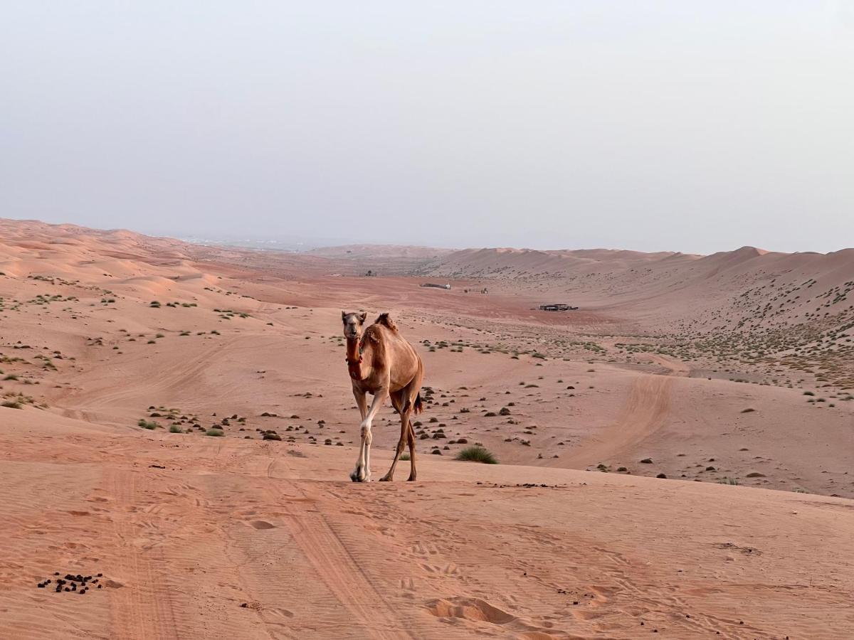 Thousand Stars Desert Camp Bidiya Exterior photo