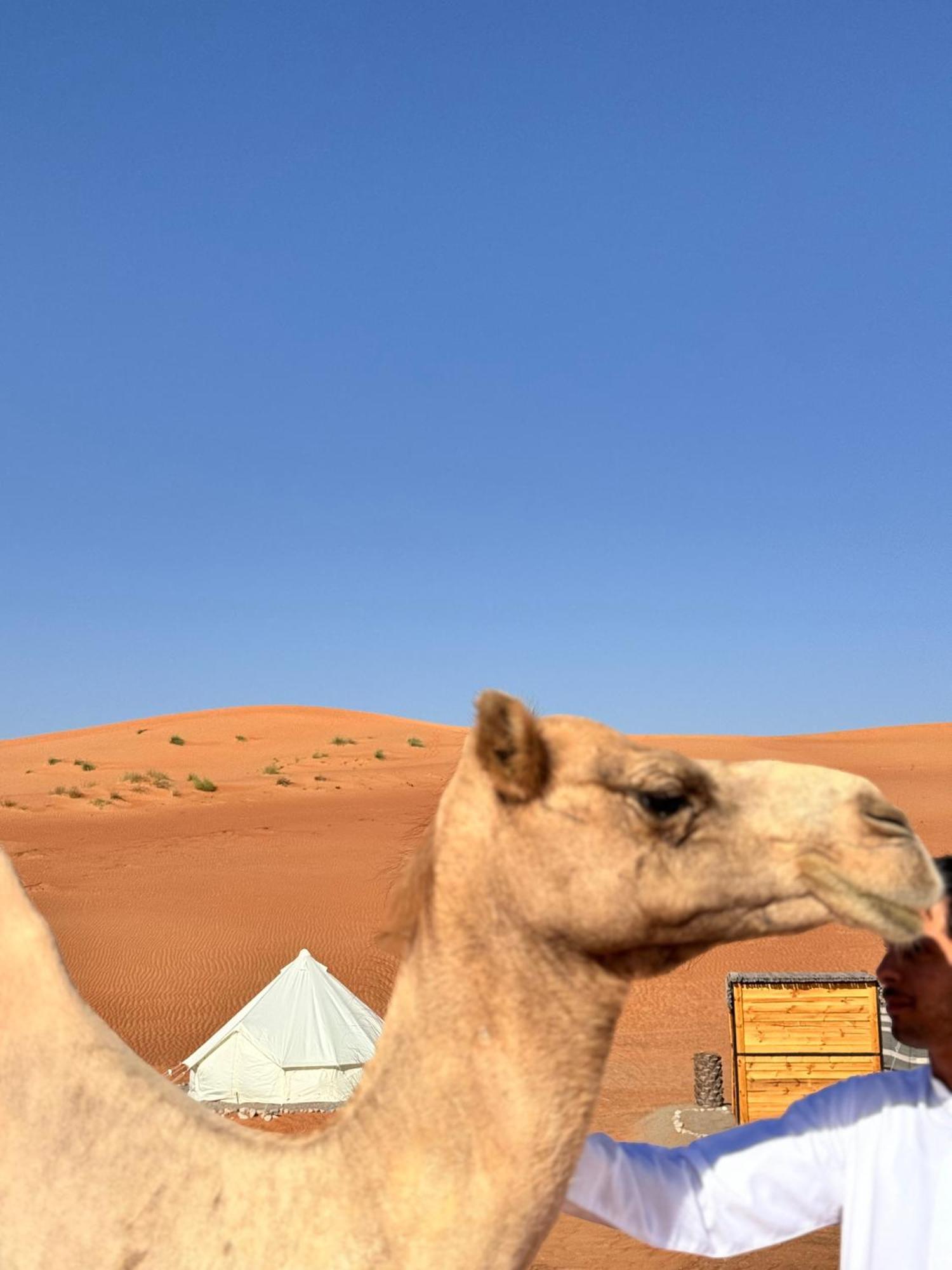 Thousand Stars Desert Camp Bidiya Exterior photo